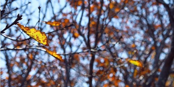 Синоптики рассказали о погоде в Приморье на праздничные выходные