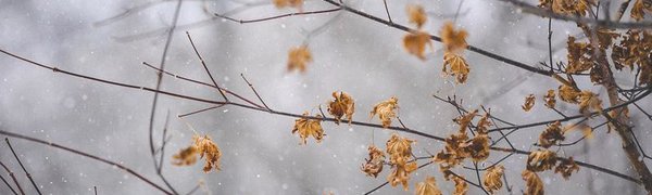 Во Владивостоке впервые за 100 лет снег выпал 11 октября