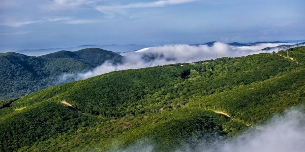 В выходные дни погода в Приморье останется переменчивой