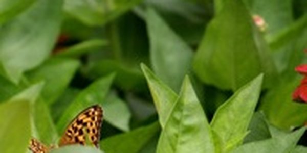 Жаркие дни за себя и своего предшественника. Каким оказался последний летний месяц в Приморье?