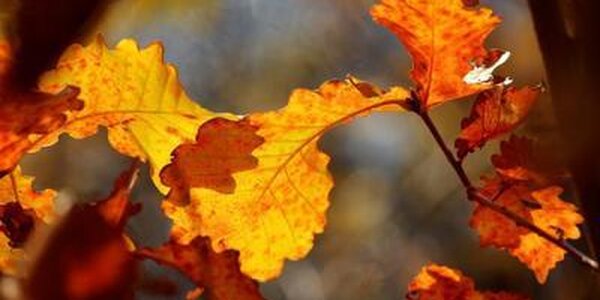 Волна тепла снова окутала Приморье