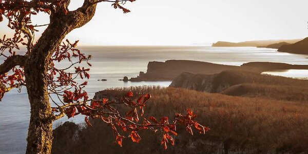 В четверг температура воздуха в Приморье понизится на 4 — 6 градусов