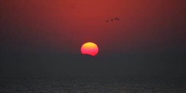 Потепление в Приморье продолжится во вторник