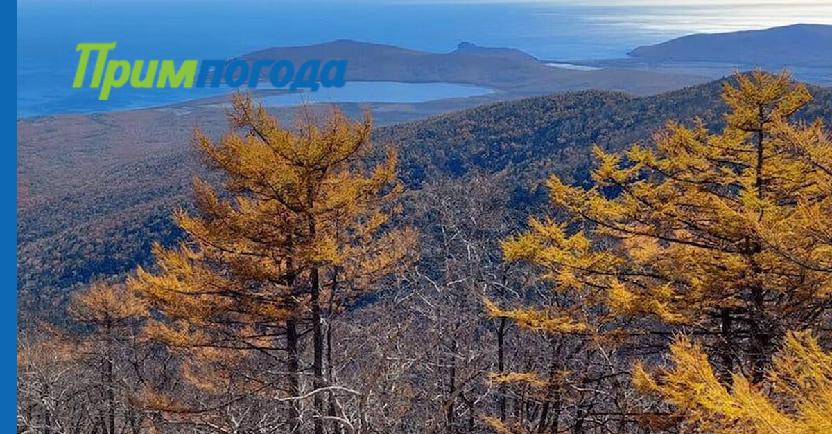 Месяц приморского края. Сихотэ-Алинский заповедник. Осенний Сихотэ-Алинь. Сихотэ-Алинский заповедник сопки. Сихотэ-Алинский заповедник пятая тропа.