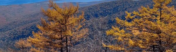 Спокойная без осадков погода была в Приморье на выходных