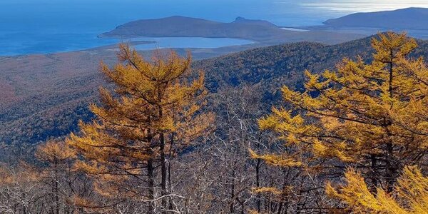 Спокойная без осадков погода была в Приморье на выходных