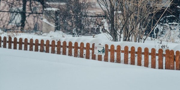 Дождь, мокрый снег, снег, на дорогах гололедица и снежный накат, метель: всё о погоде в Приморье 19 ноября