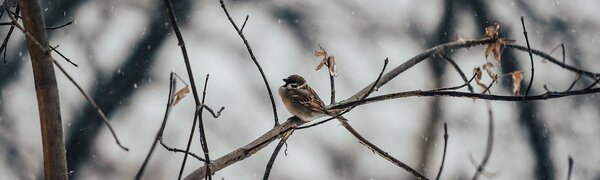 Приморье во власти стихии. Идут интенсивные осадки, отмечается гололед 