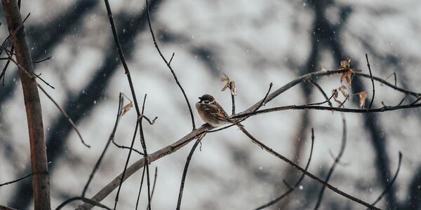 Приморье во власти стихии. Идут интенсивные осадки, отмечается гололед 