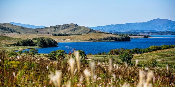 В ближайшие дни в Приморье потеплеет