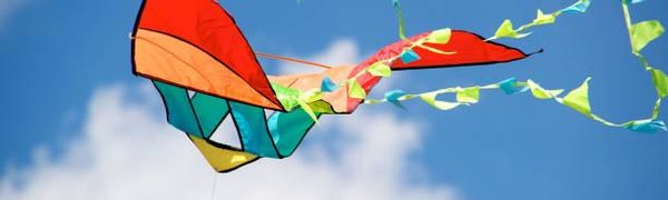 В День тигра во Владивостоке запустят в небо воздушных змеев