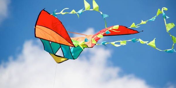 В День тигра во Владивостоке запустят в небо воздушных змеев