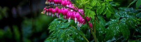 В четверг в Приморье будет дождливо. Точный прогноз на рабочую неделю на Примпогоде