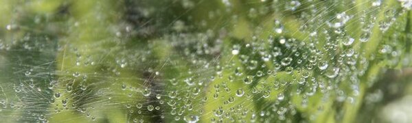 Синоптики озвучили прогноз погоды на вторую неделю августа в Приморье