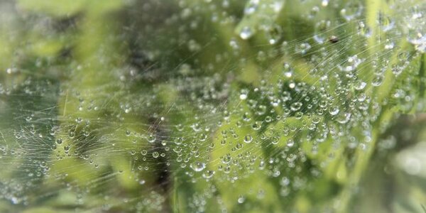 Синоптики озвучили прогноз погоды на вторую неделю августа в Приморье