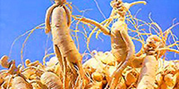 Россиянин пытался незаконно провезти крупную партию женьшеня