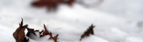 Состав с нефтью из Находки сошел с рельсов 