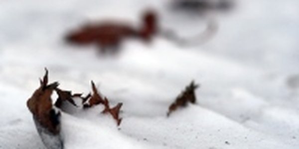 Состав с нефтью из Находки сошел с рельсов 