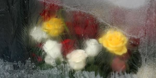 На 8 Марта во Владивостоке выпадет снег