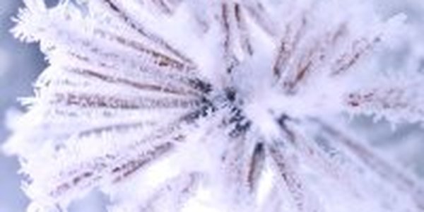 На Дальнем Востоке морозно