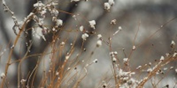 В Приморье пришла зима