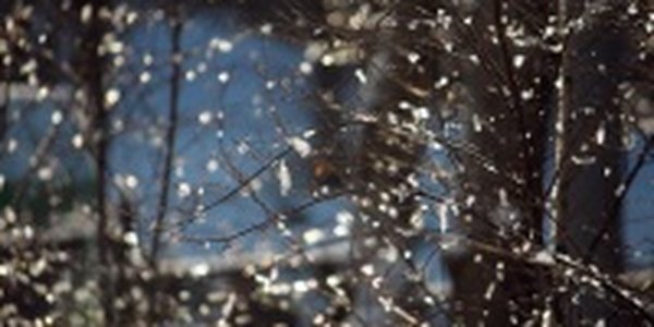 Климатический автограф ноября