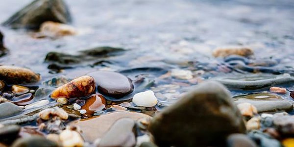 На реках Приморья ожидается слабый весенний приток воды