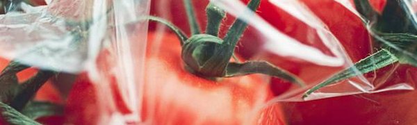 В Госдуме предложили запретить полиэтиленовые пакеты с 2025 года