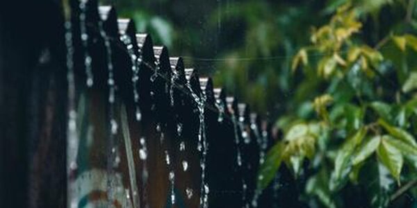 Дожди, местами сильные, испортят погоду в Приморье 11 — 12 июня