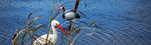 Период сухой и жаркой погоды в Приморье продолжается