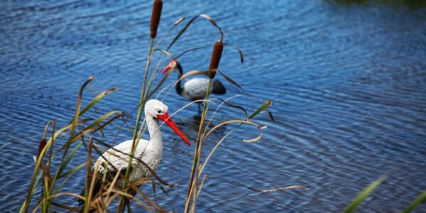 Период сухой и жаркой погоды в Приморье продолжается