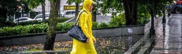 Синоптики рассказали, когда в Приморье прекратится сильный и очень дождь