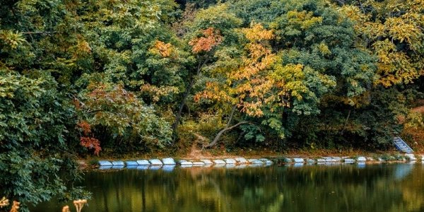 Выходные дни в Приморье будут дождливыми и прохладными