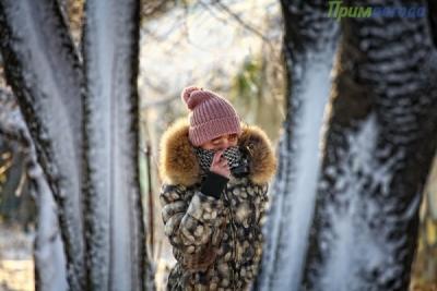 Об изменчивости средней зимней температуры во Владивостоке за 50 лет
