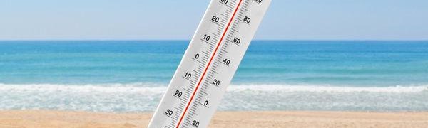 2017 год назвали одним из трёх самых жарких за всю историю наблюдений