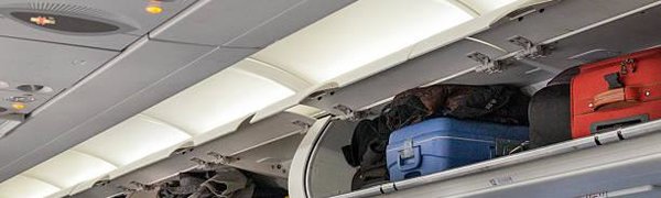 В России вступили в силу новые нормы провоза ручной клади в самолётах