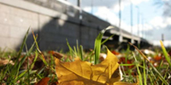 В Москве царит осенняя погода