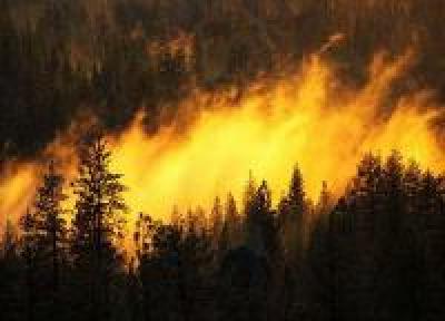 За сутки на ДВ потушено 10 из 26 пожаров