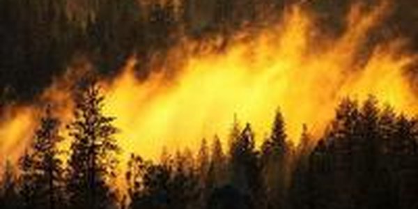 За сутки на ДВ потушено 10 из 26 пожаров