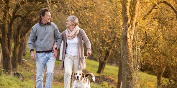 Домашние животные помогают людям дружить