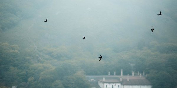 В выходные в Приморье местами дожди, во Владивостоке туман и морось