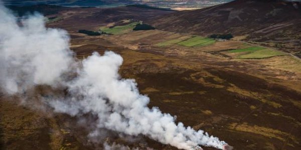 Высокий класс пожаропасности леса сохранится в Приморье в выходные