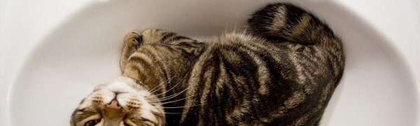 Второй этап гидравлических испытаний во Владивостоке начнётся 20 мая