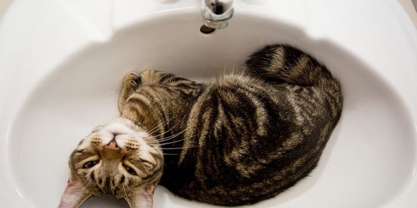 Второй этап гидравлических испытаний во Владивостоке начнётся 20 мая