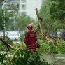 Тайфун «Сарика» обрушился на Южный Китай