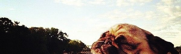 10 фактов о пятнице