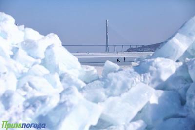 Обзор ледовой обстановки в заливе Петра Великого