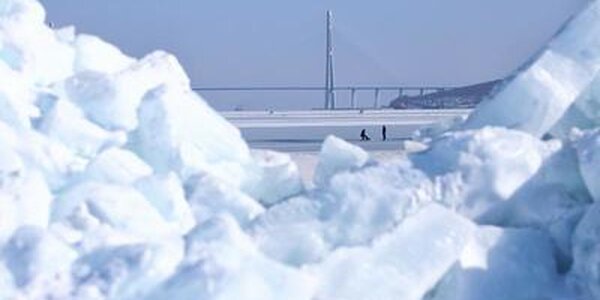 Обзор ледовой обстановки в заливе Петра Великого