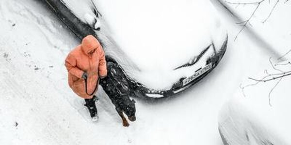 Температура во Владивостоке понизится на 10 градусов в течение дня