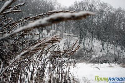 Во вторник в Приморье начнет теплеть